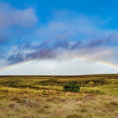 レインボーアーチ